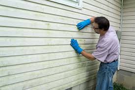 Best Custom Trim and Detailing for Siding  in Hollywood, FL